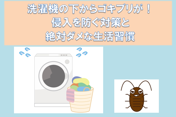 洗濯機の下からゴキブリが 侵入を防ぐ対策と絶対ダメな生活習慣 洗濯ノート